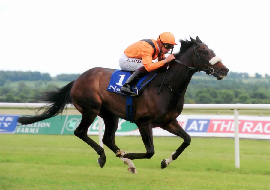 Solent Ridge Naas 23rd June